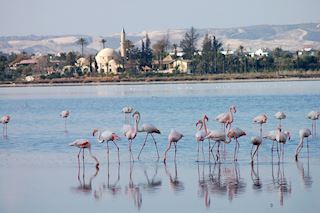 What to expect from the premier of Larnaka Marathon