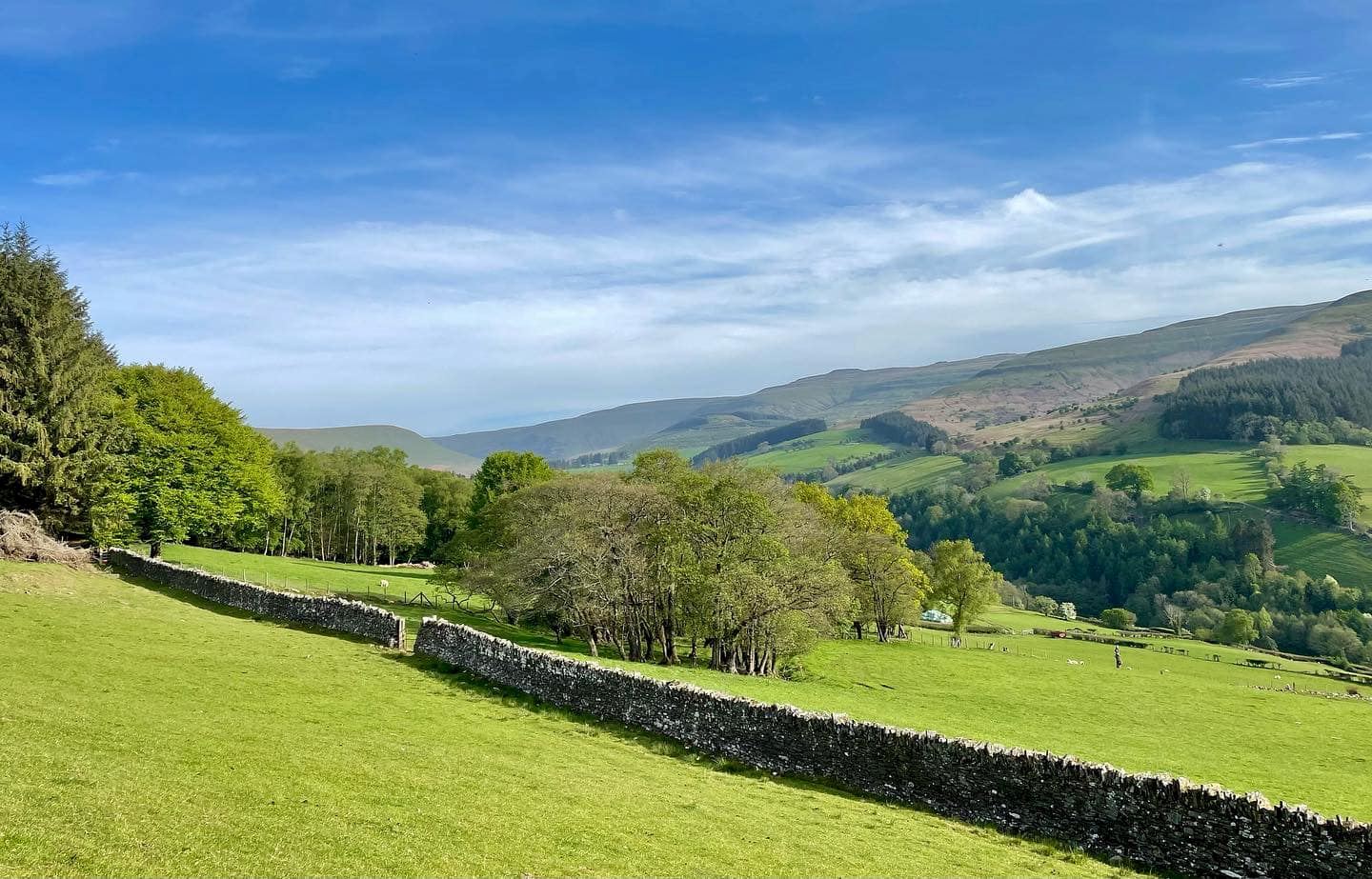 black mountains 50 mile ultra