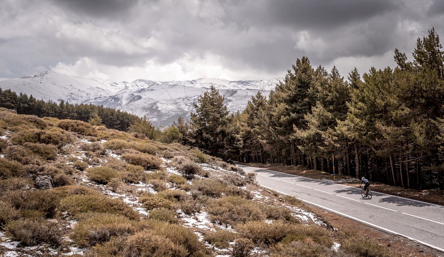 sierra nevada gran fondo